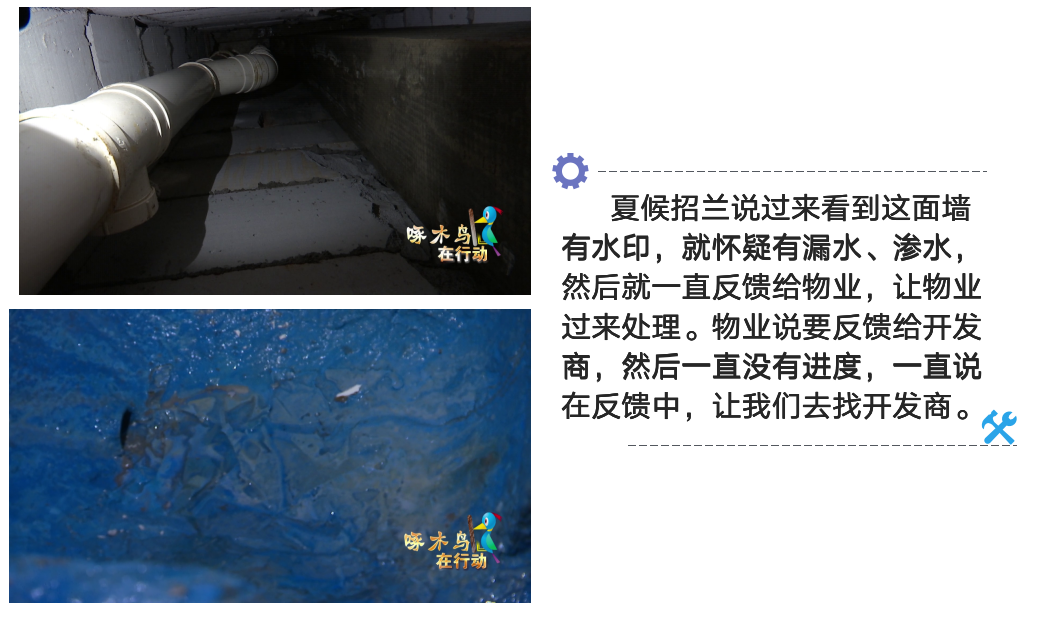 吉安恒大御景半岛新房漏水 业主多次维权遭遇“踢皮球”