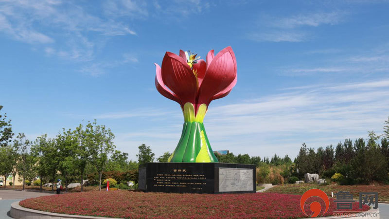 “这里是日照”走进莒县：成长的莒县 日新的莒县