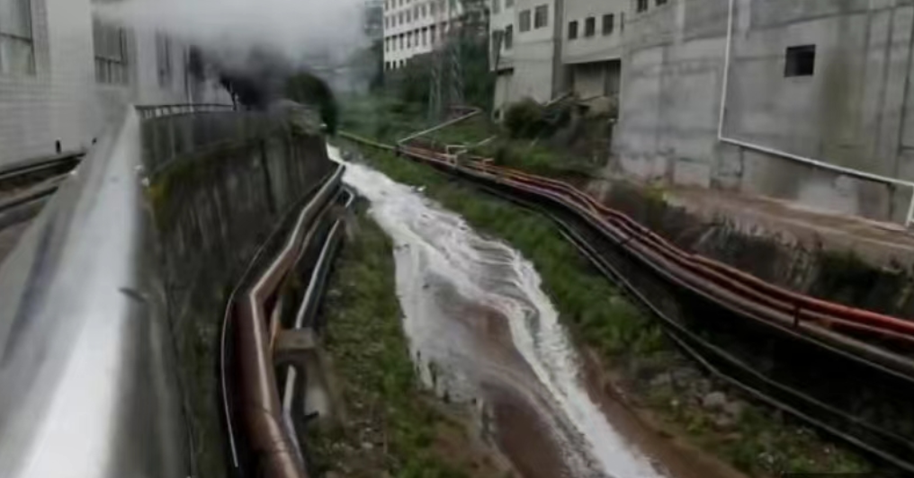 图片来源：视频截图