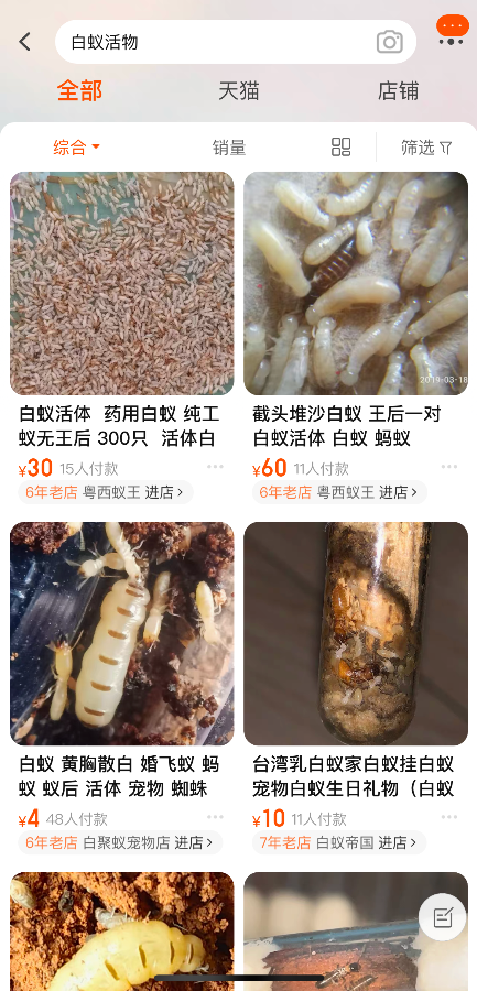 九江市白蚁防治管理所已被撤销 白蚁成灾无人管
