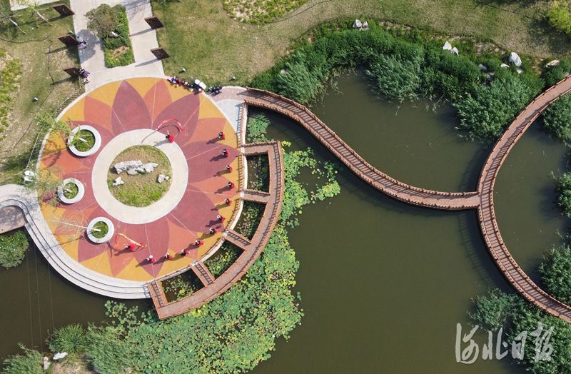 2022年5月29日拍摄的河北省邯郸市复兴区千米竹林“口袋公园”（无人机照片）。