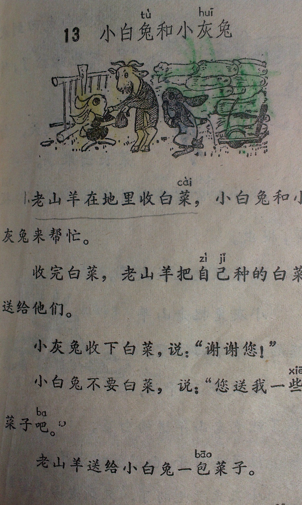 陈晓斌珍藏的小学课本,兔子故事的课文《小白兔和小灰兔》1