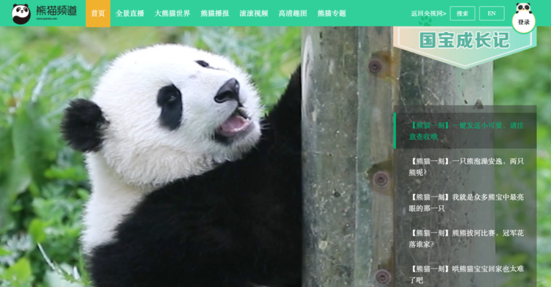 iPanda熊猫频道