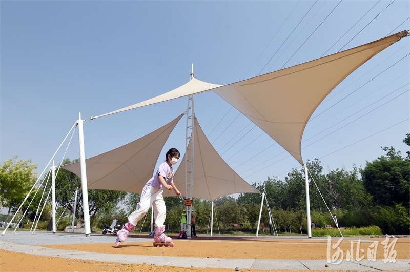 2022年5月29日，市民在河北省邯郸市复兴区千米竹林“口袋公园”游玩。