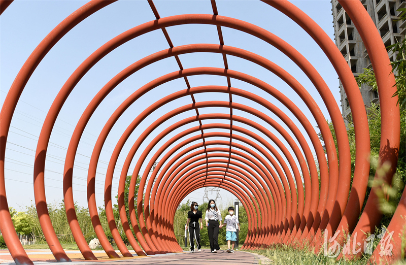 2022年5月29日，市民在河北省邯郸市复兴区千米竹林“口袋公园”游玩。