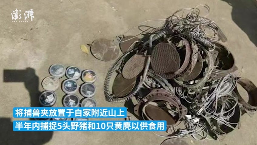 男子购买捕兽夹半年捕5头野猪10只黄麂食用