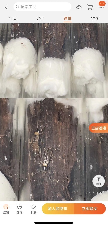 九江市白蚁防治管理所已被撤销 白蚁成灾无人管