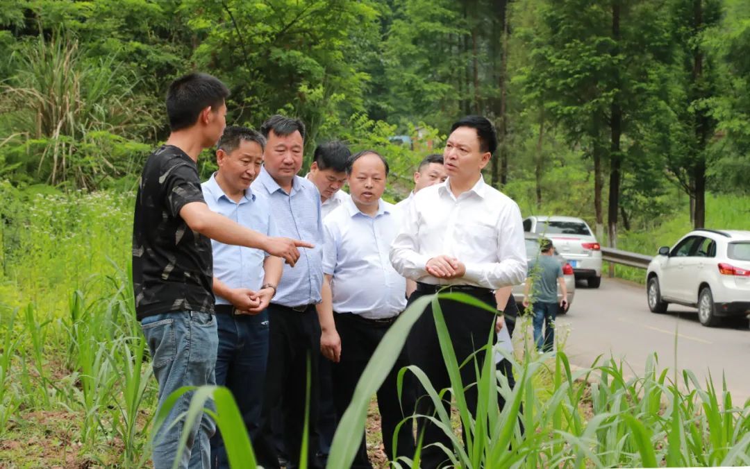 梁平区委书记钱建超做好乡村特色产业文章夯实乡村振兴产业基础