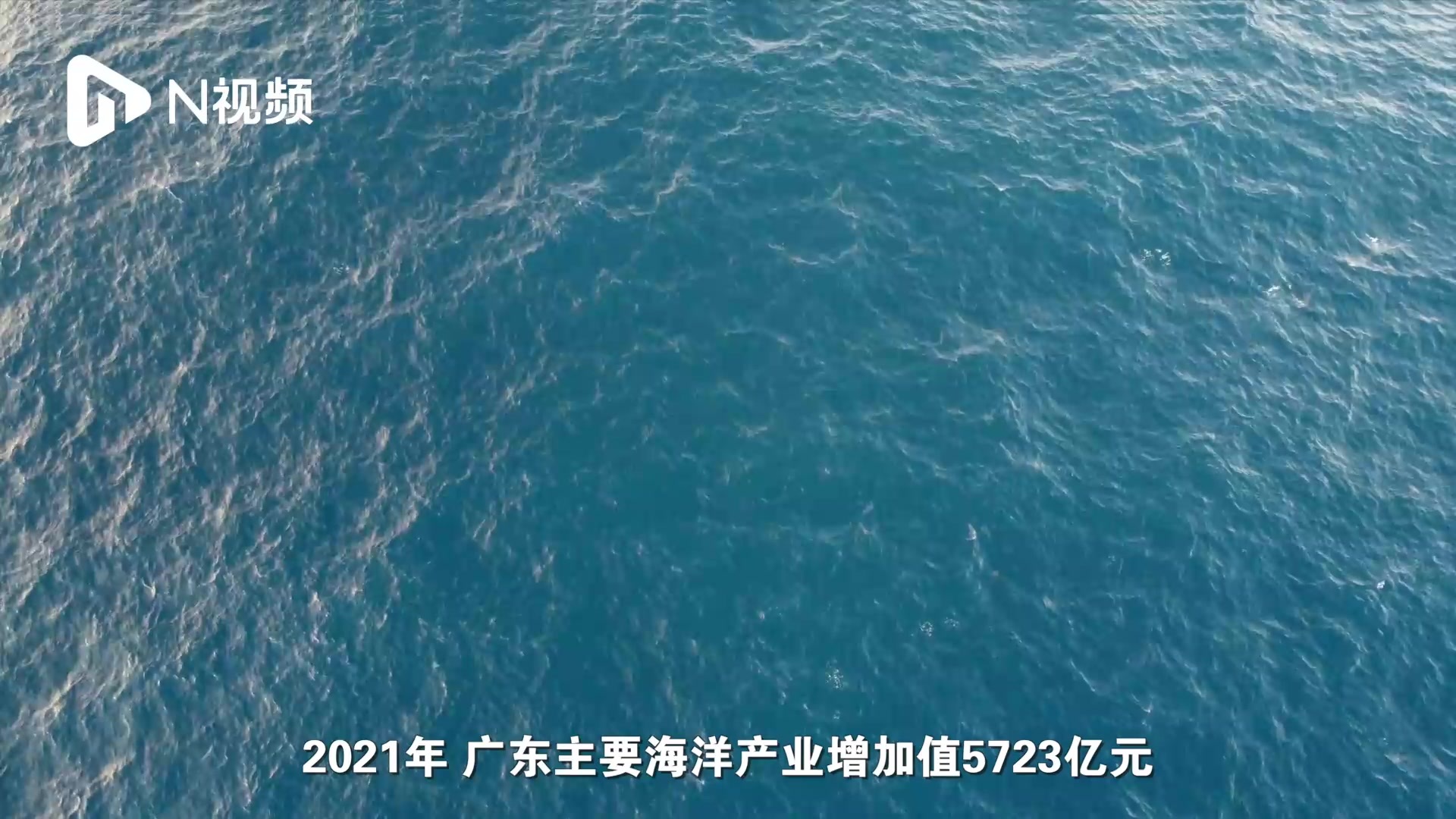 “蓝色经济”乘风破浪！广东海洋经济总量连续27年居全国第一