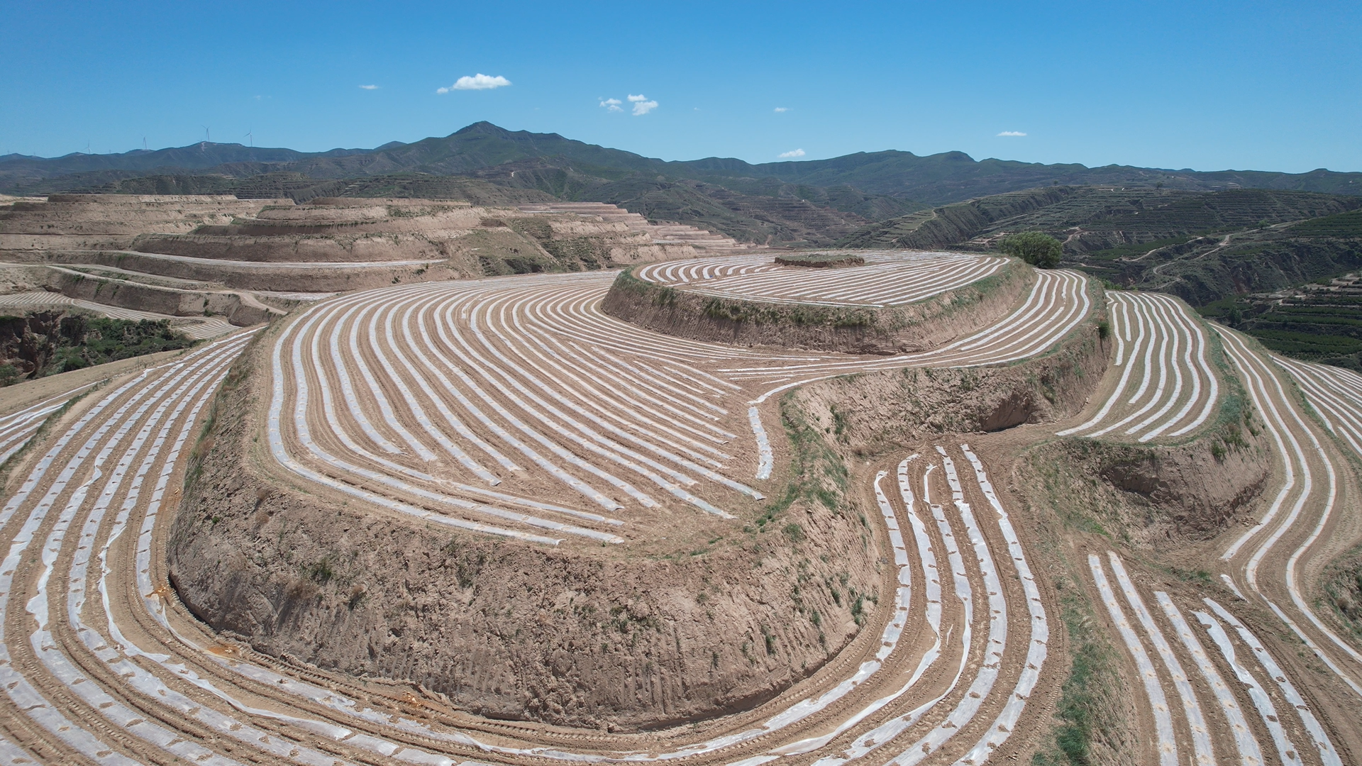 娄烦县粮食春播生产完美收官