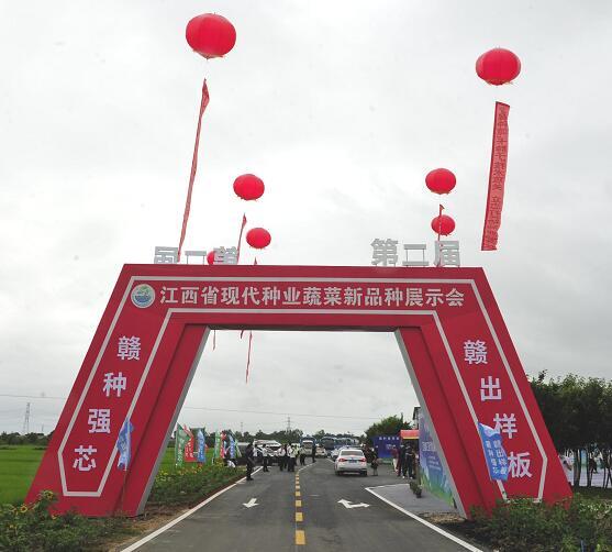江西省第二届现代种业蔬菜新品种展示会在南昌县举行