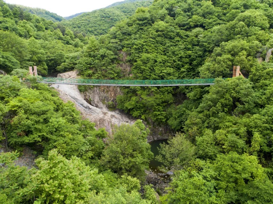 西九华山景区对中高考生免票啦