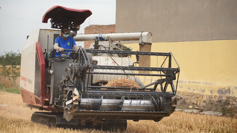 追丰收的新麦客