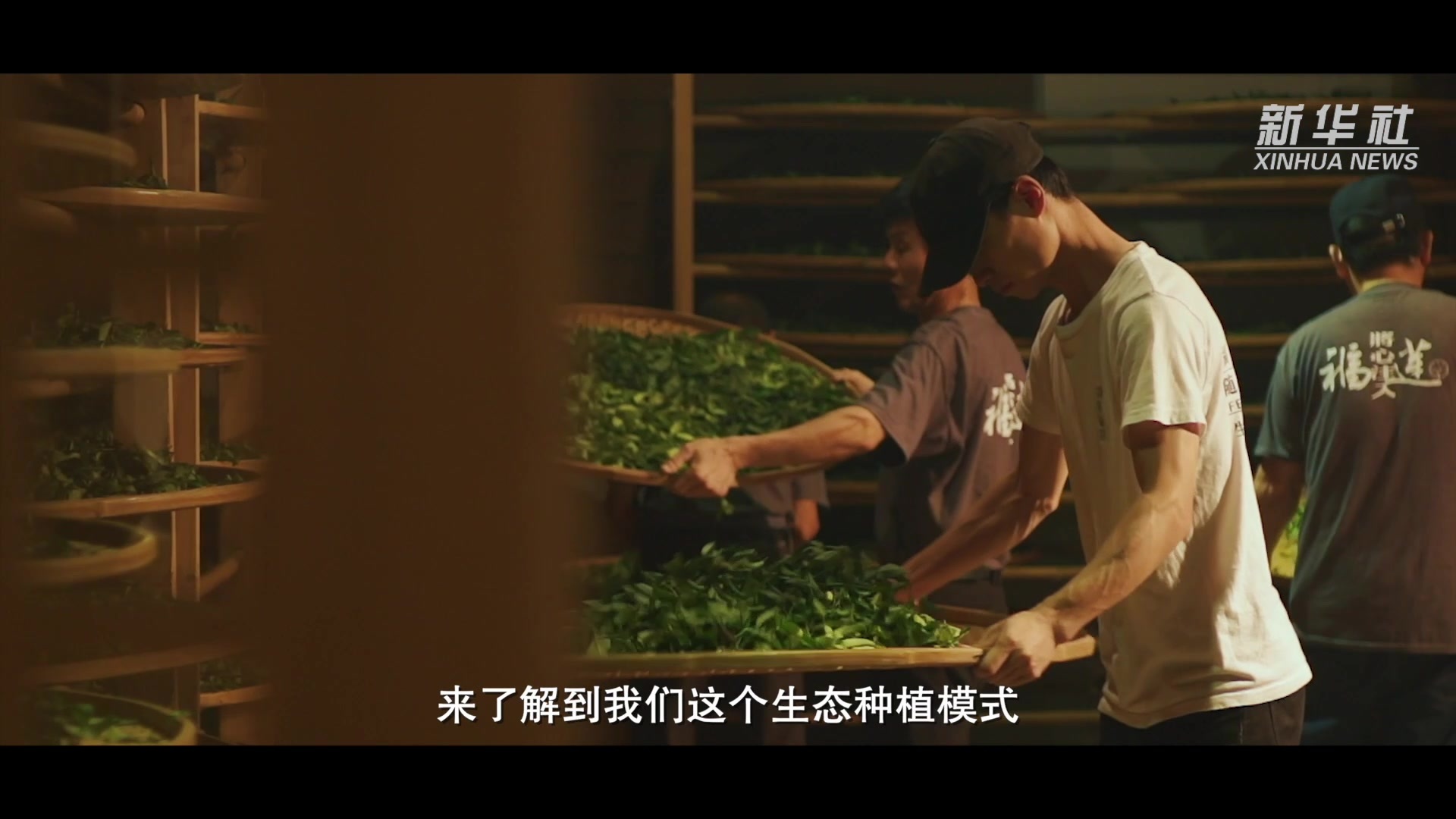 沿着总书记的足迹·福建篇｜闽山闽水物华新