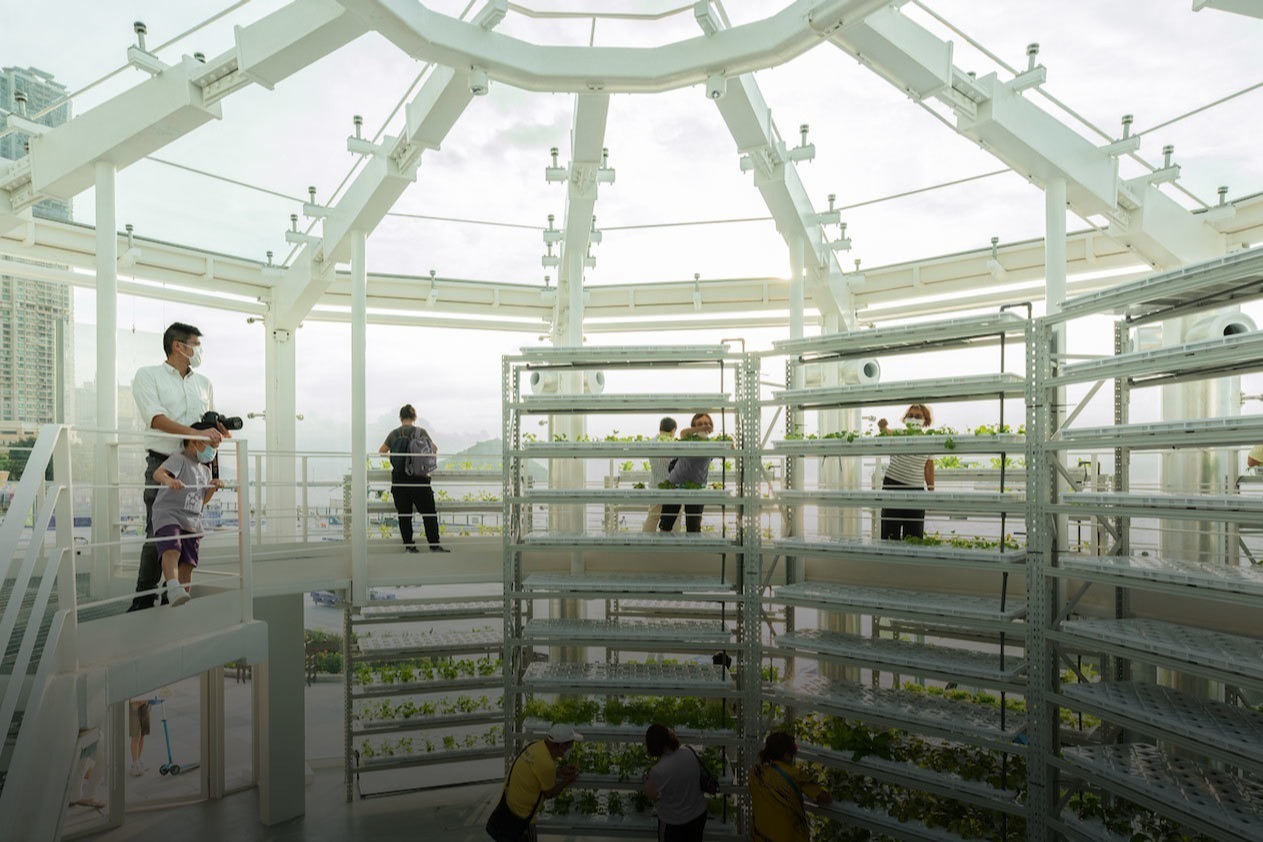 市中心的高科技农场：居民争当农夫，蔬果自由