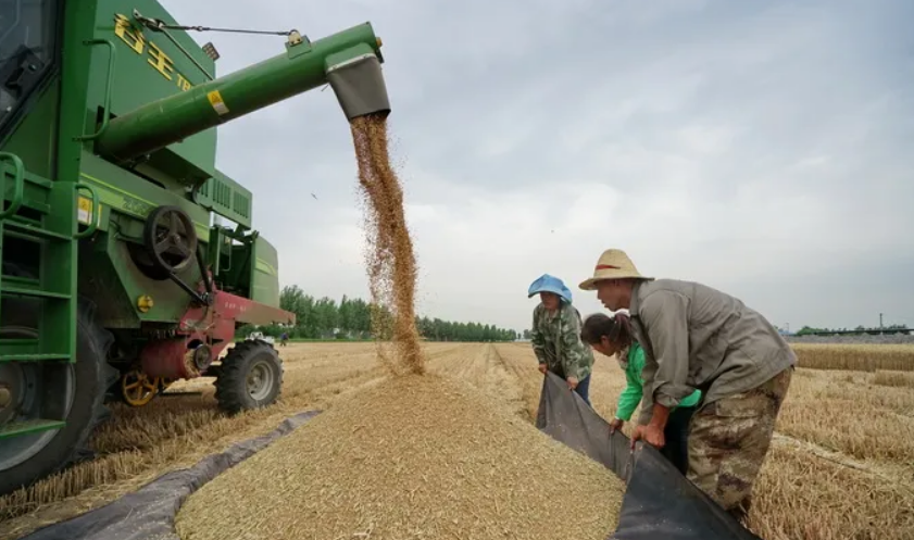 占世界人口18 却拥有全球半数粮食储备 又有5000万吨运往中国 占世界人口18 却拥有全球半数粮食储备 又有5000万吨运往中国