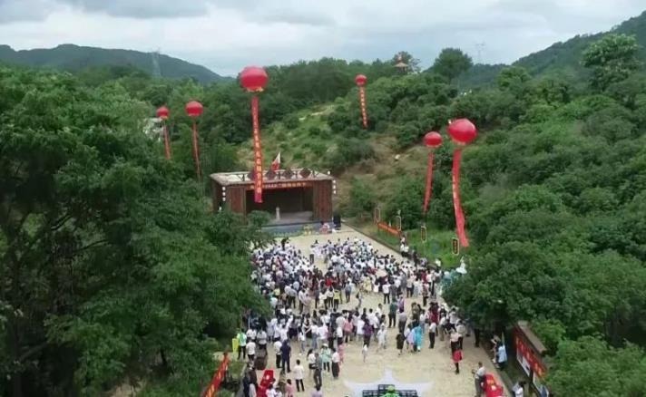 游名村 享“梅”好时光  于都黄麟乡杨梅采摘节开幕