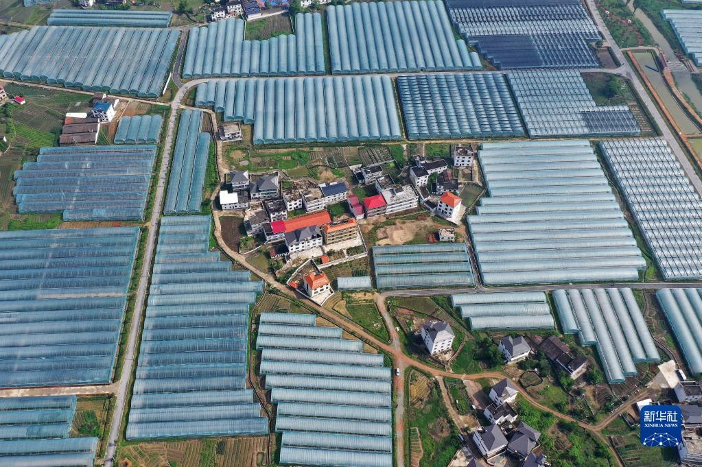 江西省赣州市于都县梓山镇潭头村的果蔬种植基地（2021年4月29日摄，无人机照片）。 新华社记者 万象 摄