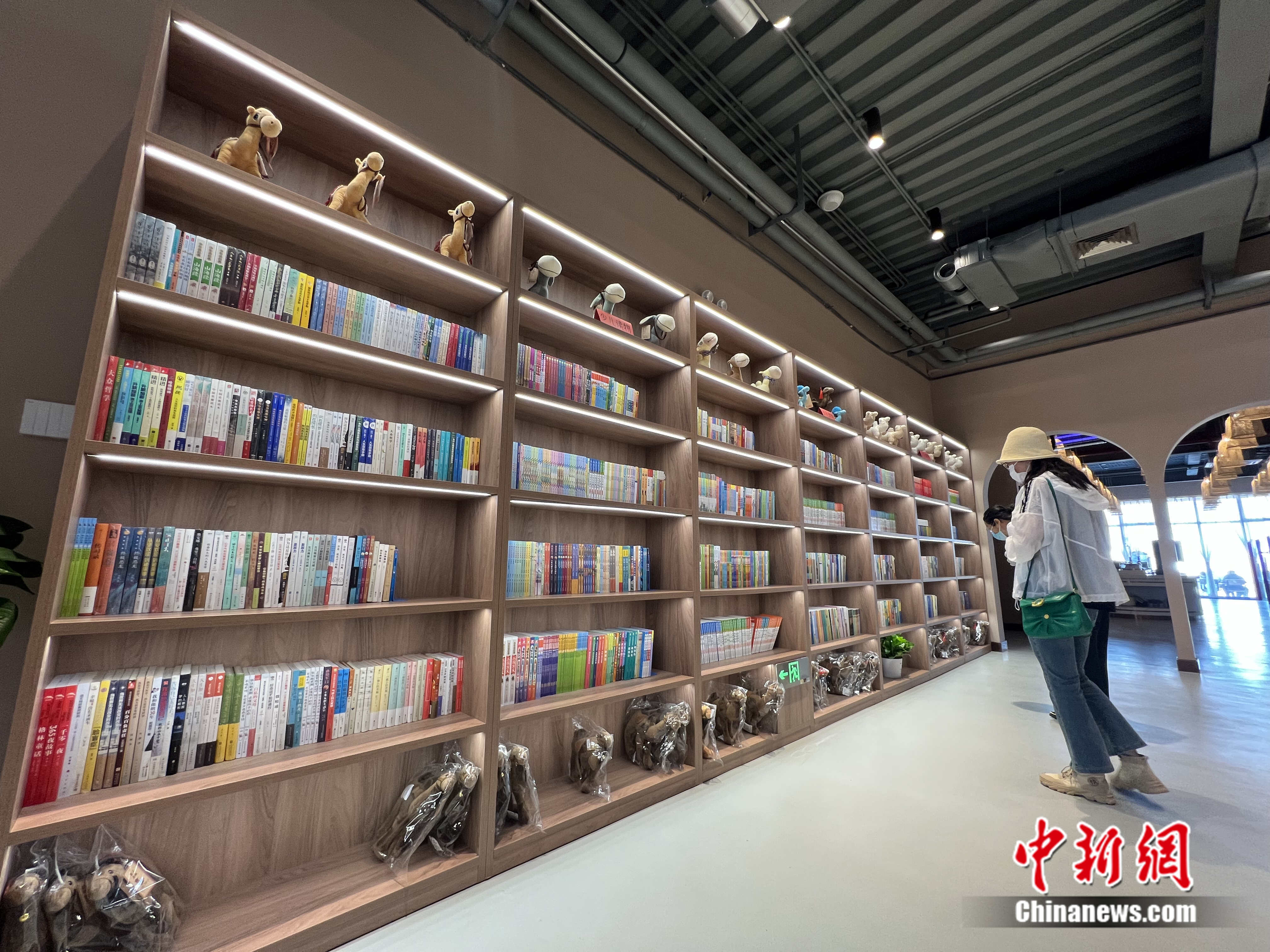 宁夏首家沙漠图书馆正式投用(图1)