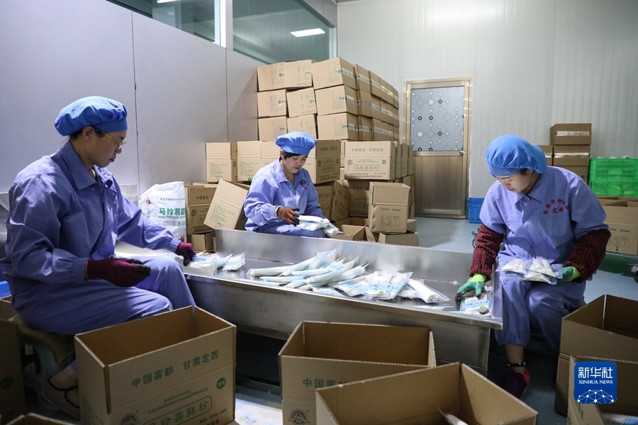 6月9日，定西恒源淀粉制品公司的工作人员将马铃薯粉制品装箱。新华社记者 马希平 摄