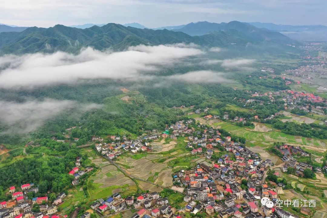 芦溪县云雾缭绕景如画图