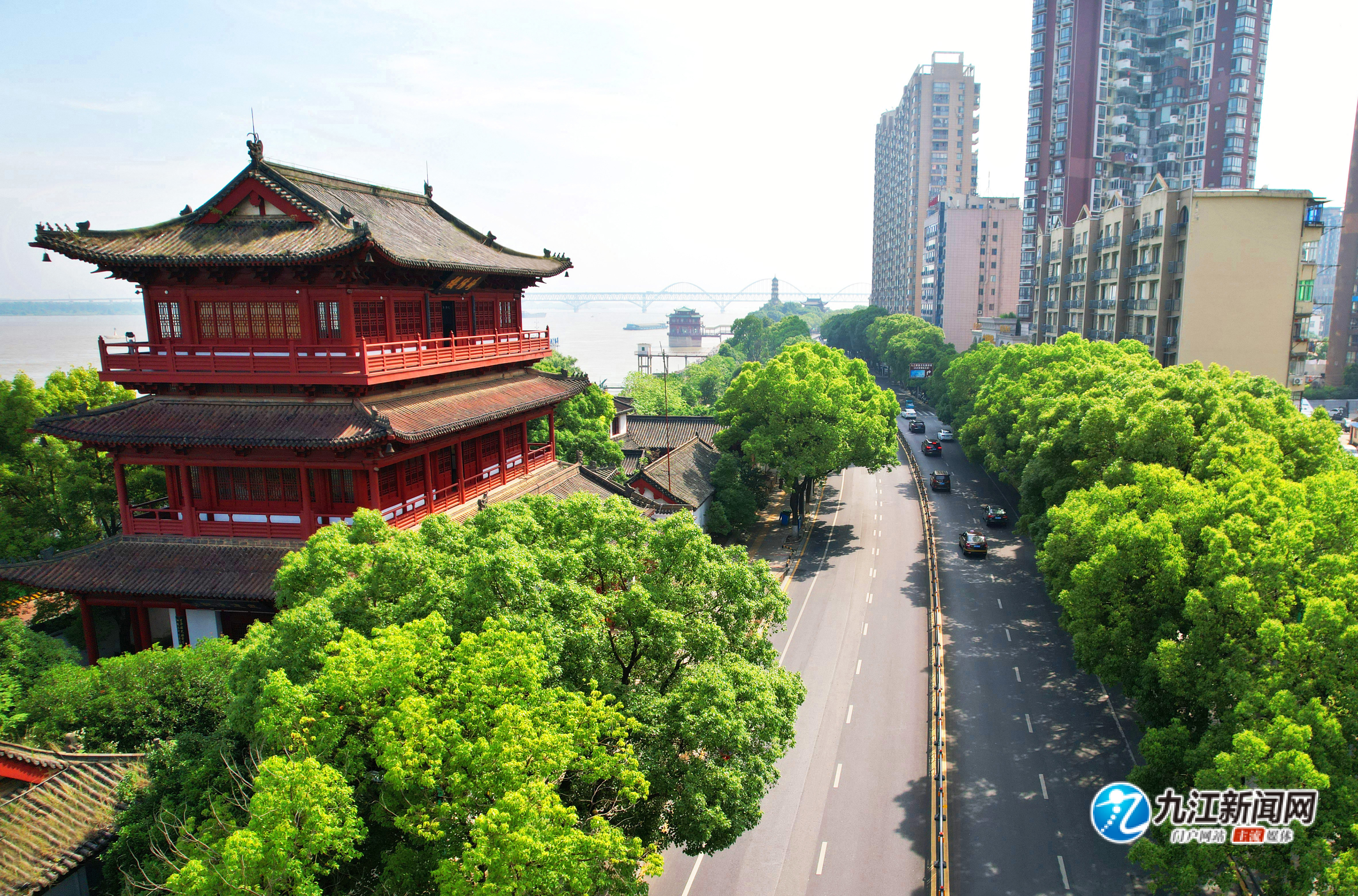 6月9日,俯瞰市区滨江路,道路干净整洁,树木郁郁葱葱,一旁的浔阳楼古色