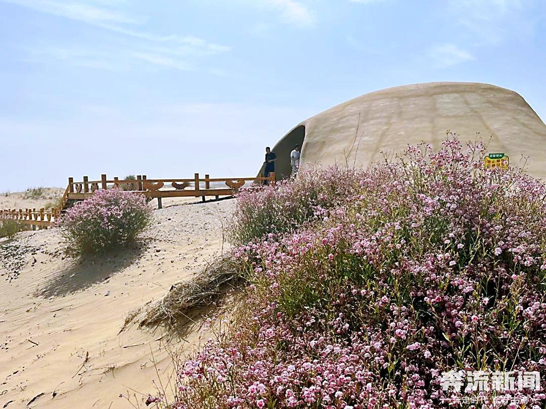 甘肃添一座国家级沙漠公园 建成后是啥样
