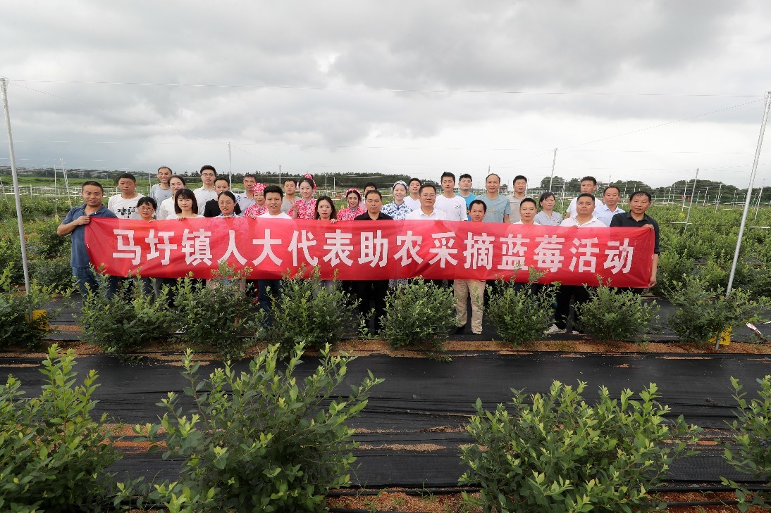 江西东乡人大代表带头助力乡村振兴