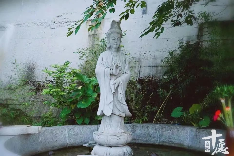 图片来源:十愿百科 摄影:王子轩