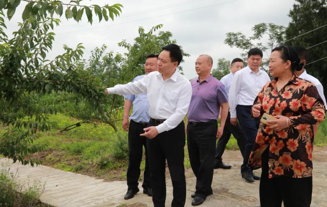 梁平区委书记钱建超做好乡村特色产业文章夯实乡村振兴产业基础