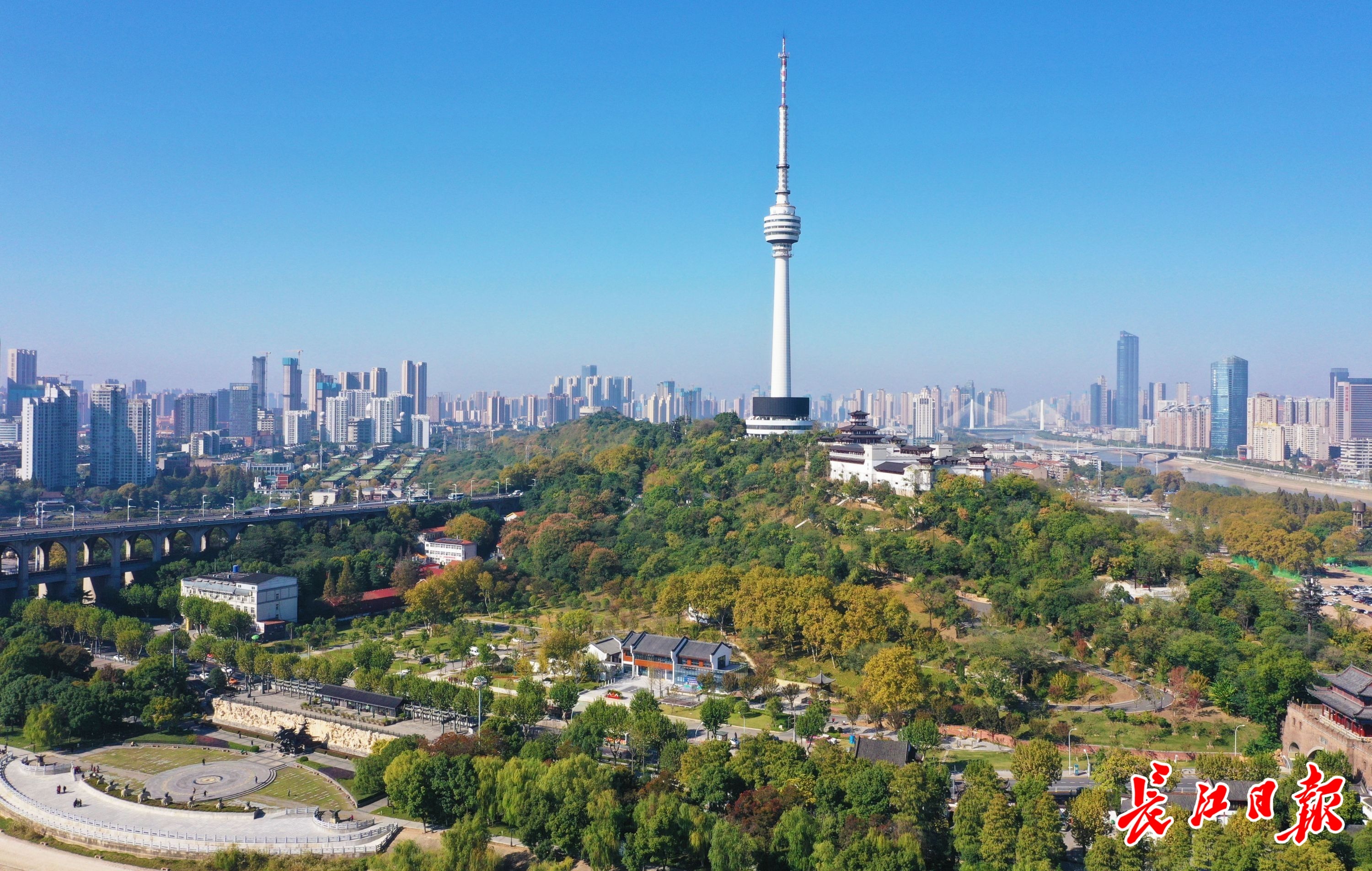 龟山电视塔景区图片