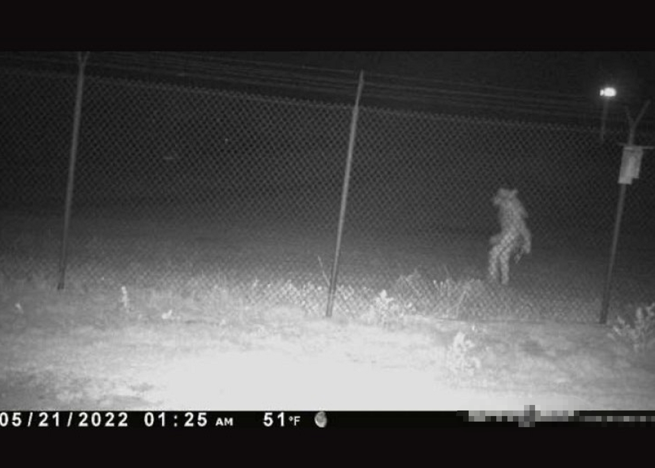 Why Skinwalkers In Ohio Are Creating Buzz – Essential Details Revealed The Shocking Truth Everyone Needs To Know - sntkqd6