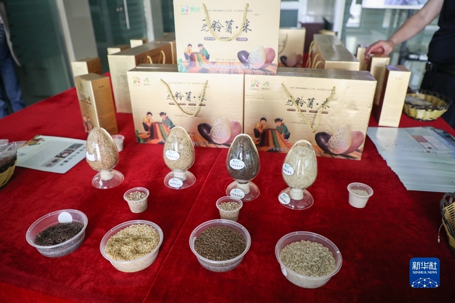 这是6月9日在甘肃凯凯农业科技发展股份有限公司拍摄的“马铃薯米”产品 新华社记者 马希平 摄