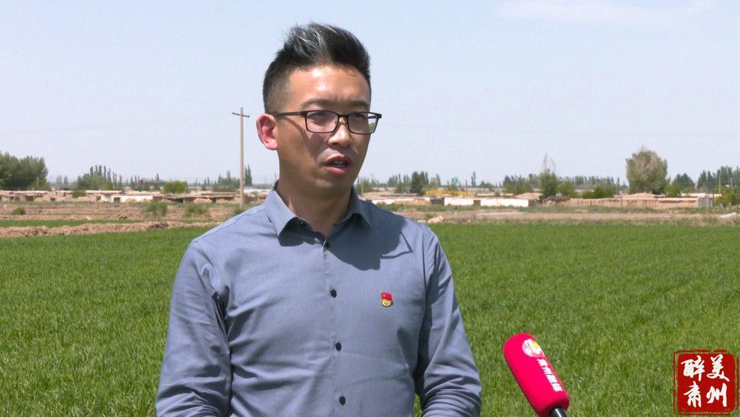 上坝镇党委副书记 程俊武:我镇高标准农田项目实施