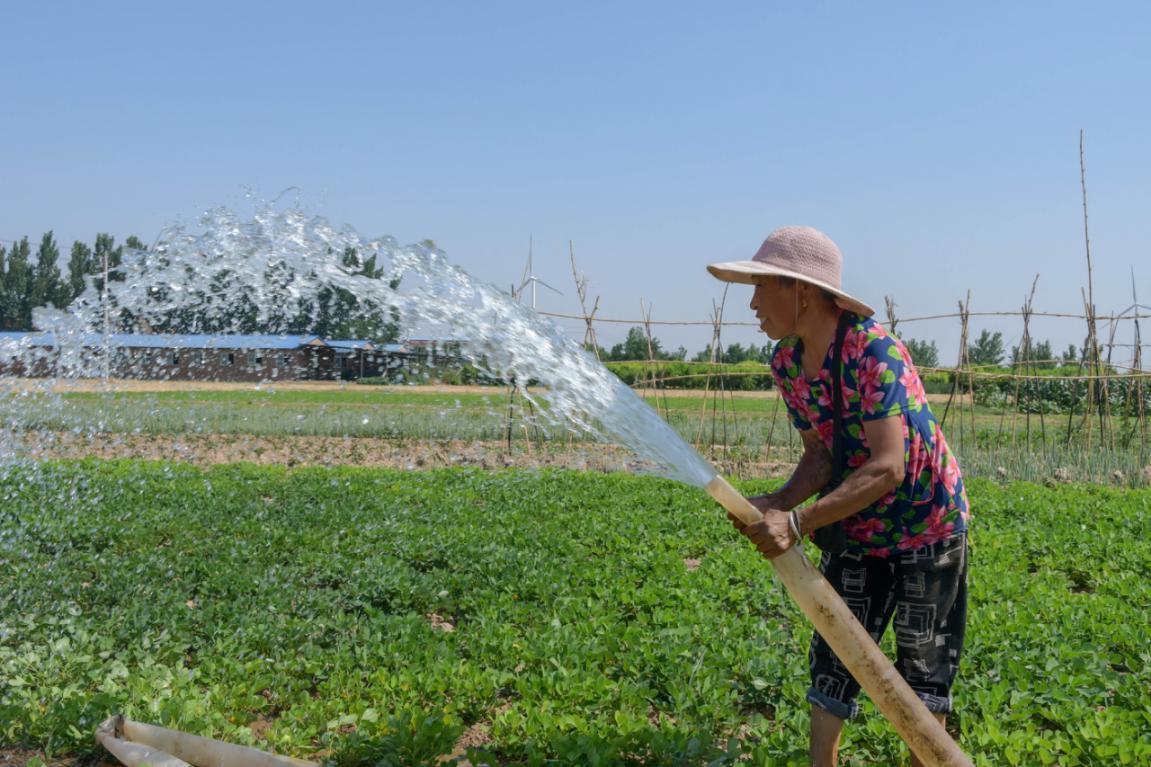 结对帮扶等多种措施,引导群众充分利用现有水源,造墒抢种,浇地保苗