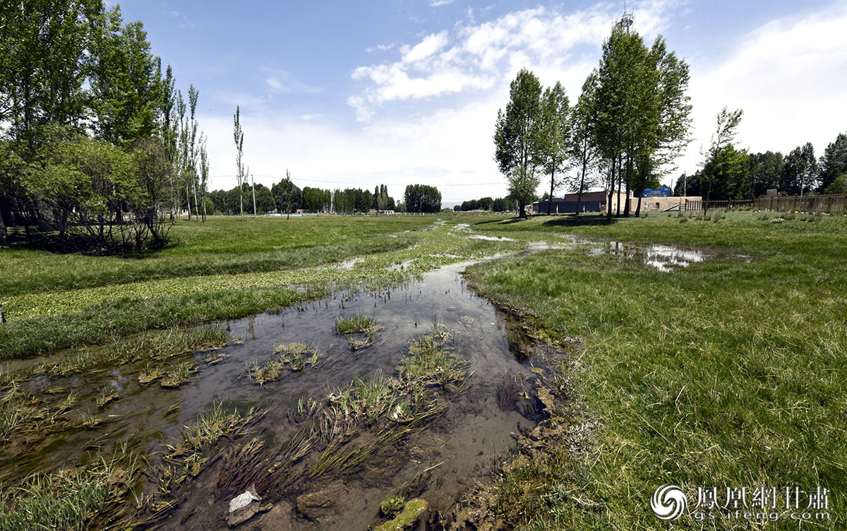 丰富的湿地资源滋养了清河绿洲,也为当地发展高原夏菜产业奠定了基础。肖刚 摄