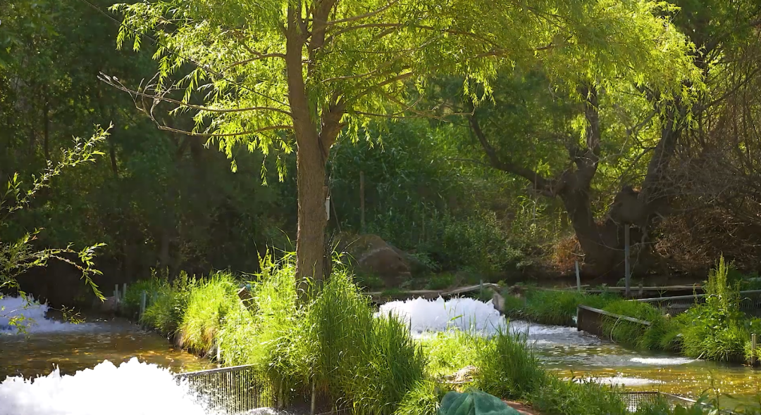 炎炎夏日去磨沟渔乡听潺潺泉水尝招牌美食