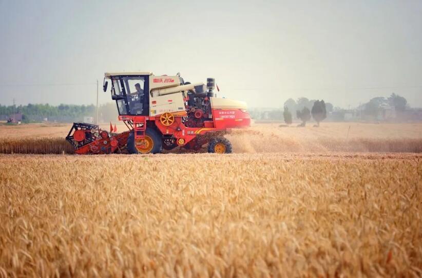 产粮大户在邮储银行信贷支持下进行机械化收割