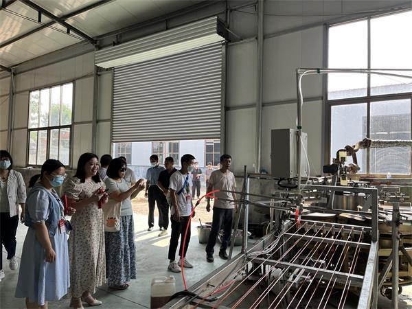 全国主流媒体高唐行 | 姜店镇西郭村：电商直播+农业旅游，让“幸福向阳花”开满乡村沃土！