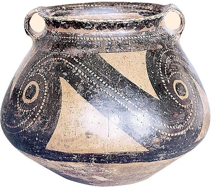 除瓶,罐,碗,盂,豆,杯等外,大型储藏器壶,瓮成为半山彩陶的主要器型