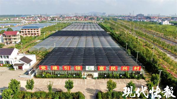 △灌云豆丹文化产业园