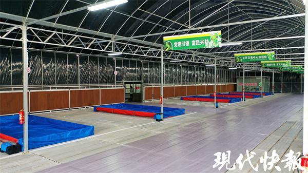 △灌云豆丹交易中心一角