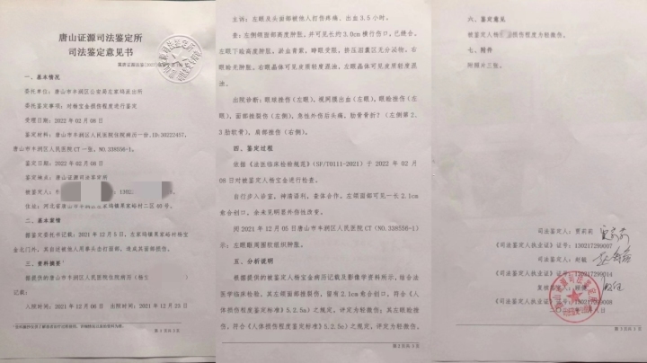 杨父伤情鉴定意见书 图片由受访者提供