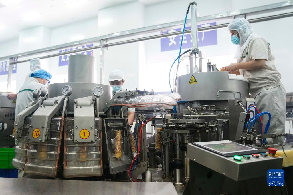 工人在吉林省农嫂食品有限公司生产车间内加工鲜食玉米（6月6日摄）。新华社记者 许畅 摄