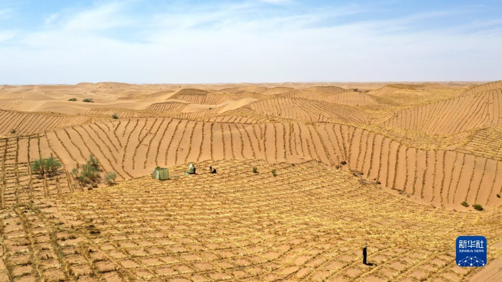 这是武威市凉州区邓马营湖治沙区域已经铺设完草方格沙障的沙漠（6月16日摄，无人机照片） 新华社记者 陈斌 摄