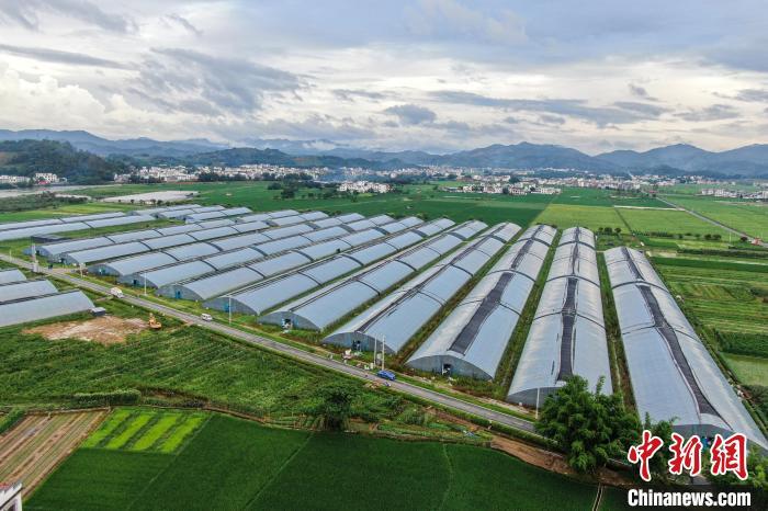 “客家摇篮”江西赣州加速对接融入粤港澳大湾区(图)