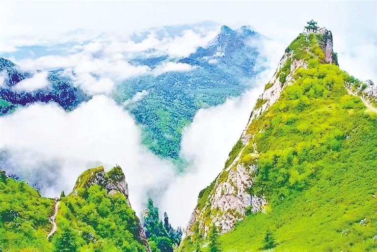 趣玩一夏别错过莲花山最美的季节 凤凰网