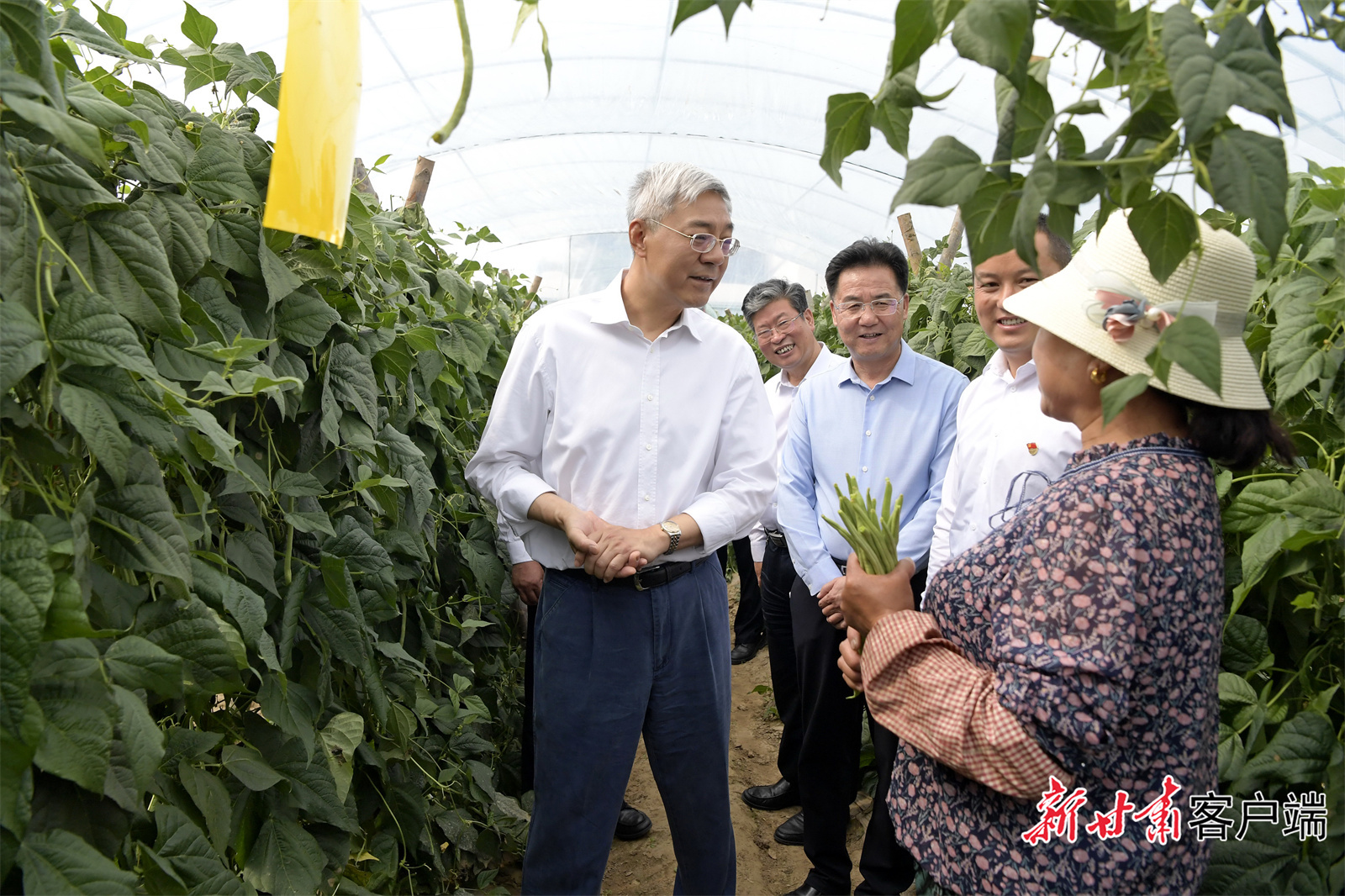 6月11日，省委书记、省人大常委会主任尹弘在定西市调研农业生产及基层党建工作。新甘肃·甘肃日报记者 高樯