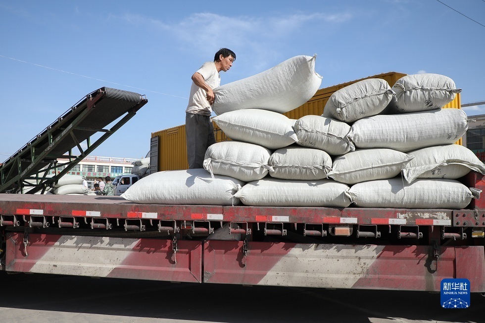 6月10日，在位于陇西县首阳镇的甘肃中药材交易中心，工作人员把中药材搬运装车。新华社记者 马希平 摄