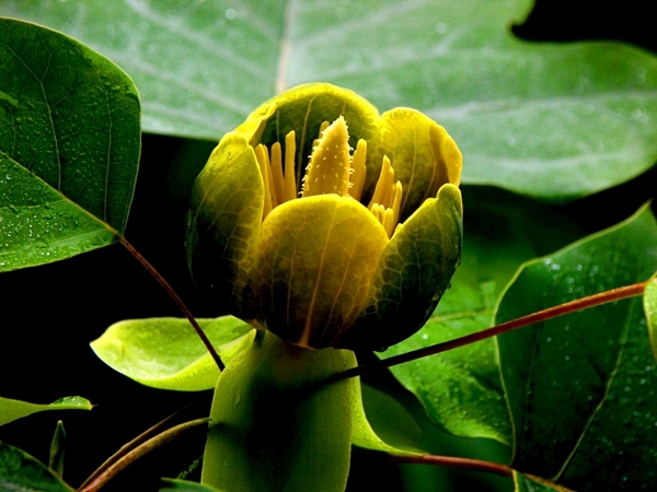 生物多样性21.jpg